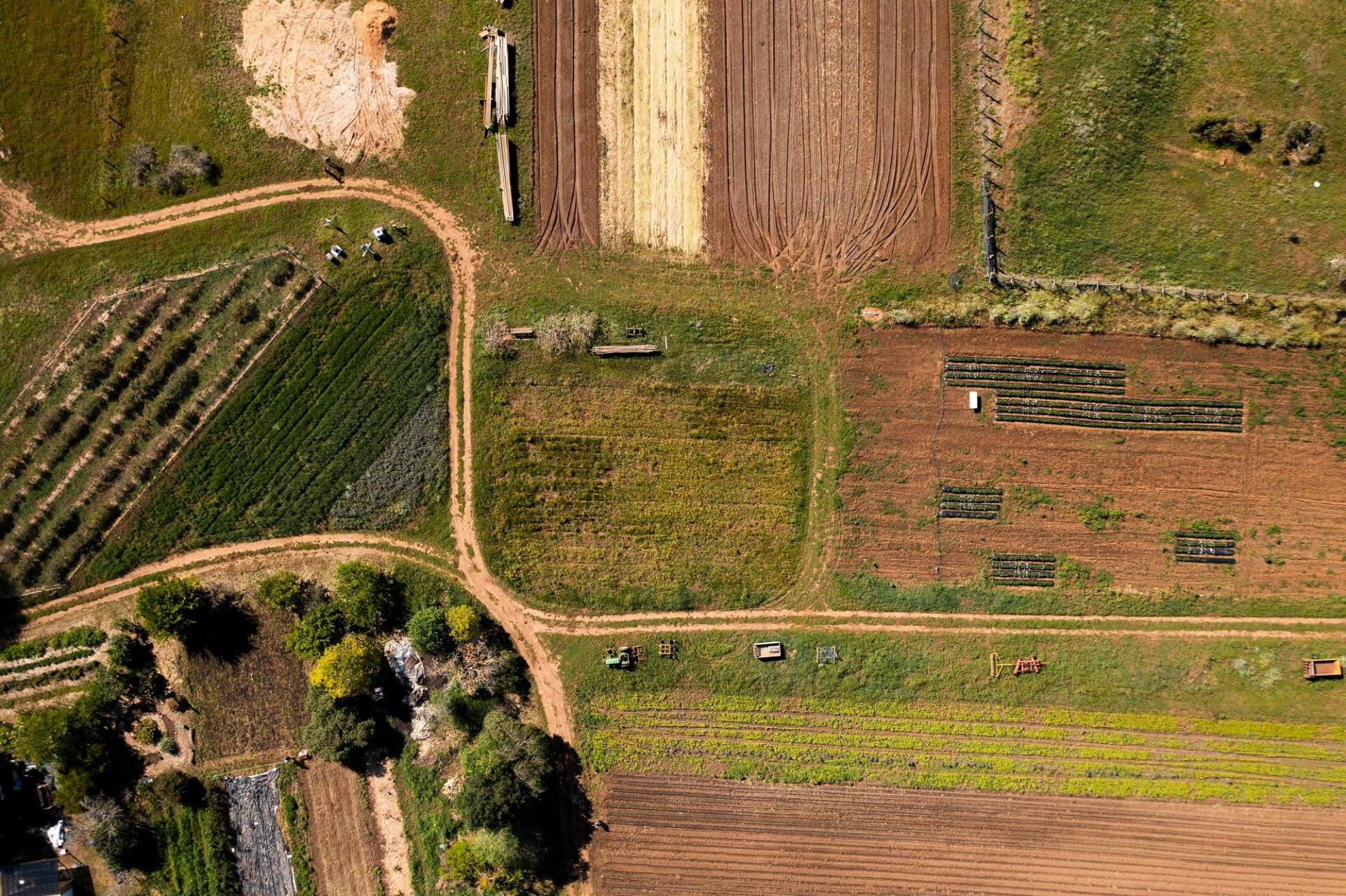 Farmland, aerial view